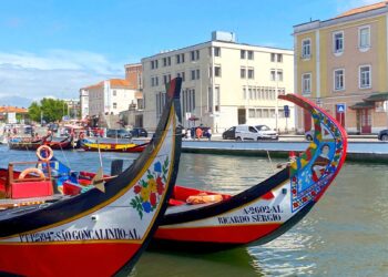 moliceiro aveiro