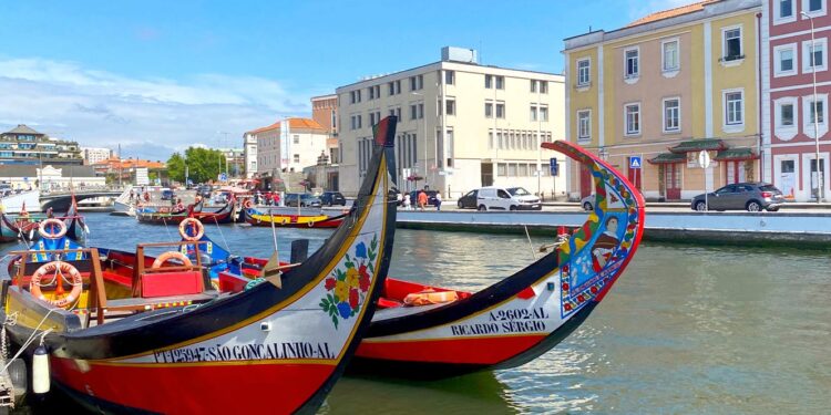 Candidatura de moliceiro a Património da Humanidade entregue na UNESCO 11 moliceiro aveiro