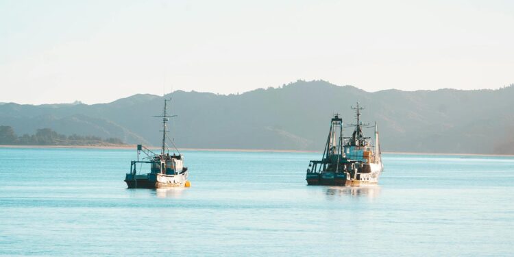 União Europeia paga 20 milhões de euros/ano para pescar no mar da Guiné-Bissau 11 pesca