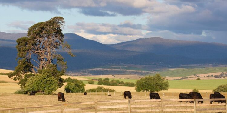 quinta africa do sul