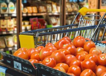 tomate supermercado