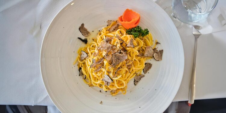 Descoberta trufa de verão pela primeira vez em Portugal 11 trufa