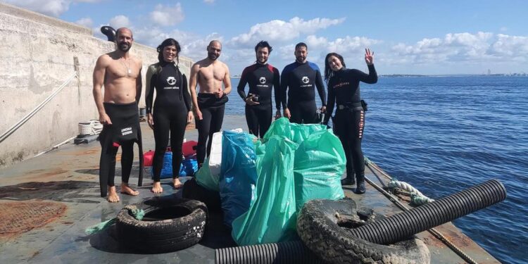 ONG portuguesa Ocean Alive premiada por recuperação de prados marinhos no Estuário do Sado 11 ocean alive