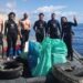 ONG portuguesa Ocean Alive premiada por recuperação de prados marinhos no Estuário do Sado 21 ocean alive