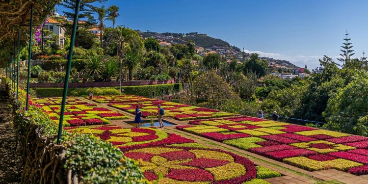 Celebração do Dia de Portugal, de Camões e das Comunidades Portuguesas 2024 nas Regiões Autónomas dos Açores e da Madeira 11 jardins madeira