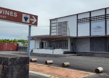 Cooperativa Picowines comemora 75 anos e quer apostar no enoturismo