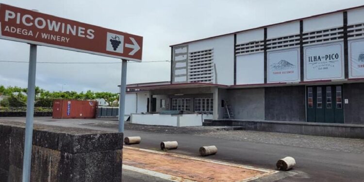 Cooperativa Picowines comemora 75 anos e quer apostar no enoturismo 11 Cooperativa Picowines comemora 75 anos e quer apostar no enoturismo