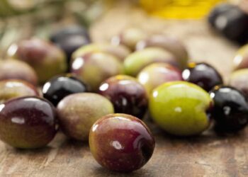 Azeitona galega de mesa da Beira Baixa certificada inicia comercialização
