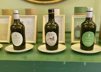 Quinta da Pacheca recebe competição com os melhores azeites do mundo