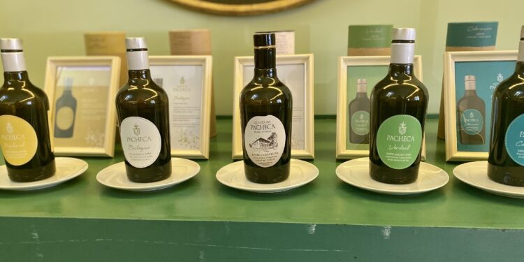 Quinta da Pacheca recebe competição com os melhores azeites do mundo 11 Quinta da Pacheca recebe competição com os melhores azeites do mundo