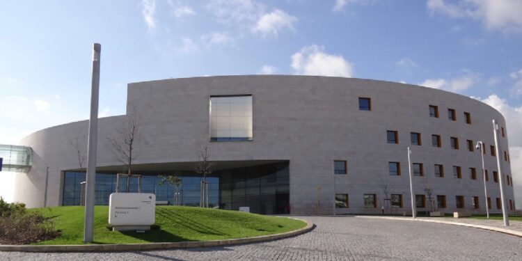 Quatro novos cientistas em Portugal eleitos membros da EMBO