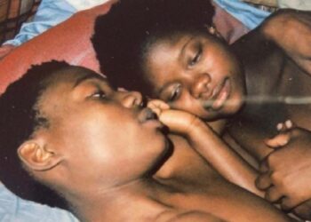 Filme 'O ouro e o mundo' de Ico Costa distinguido no Festival de Marselha