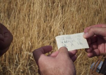 Filme 'Fogo do Vento' na competição internacional do festival de Locarno