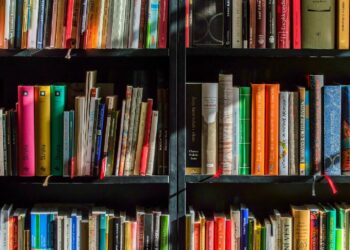 Entidades da Cultura pedem medidas contra ataques da extrema-direita