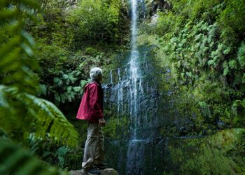 5.000 luxemburgueses visitaram a Madeira em 2023