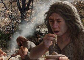 Arqueólogas portuguesas cozinham para compreenderem dieta de Neandertais