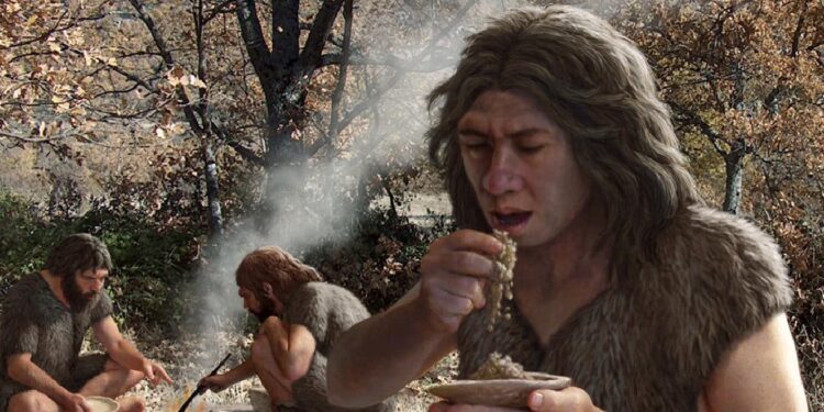 Arqueólogas portuguesas cozinham para compreenderem dieta de Neandertais