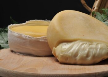 Municípios da região do Queijo Serra da Estrela financiam candidatura à Unesco