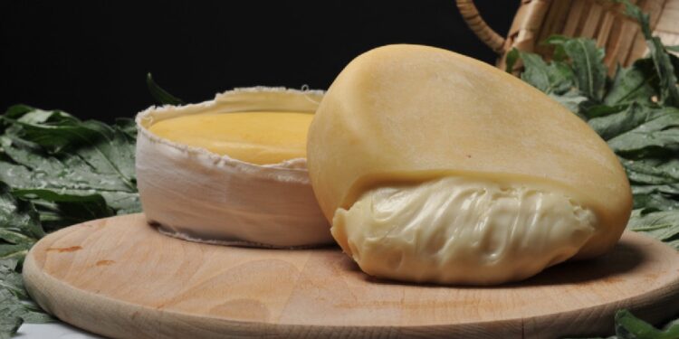 Municípios da região do Queijo Serra da Estrela financiam candidatura à Unesco