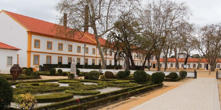 Primeiro-ministro elogia capacidade de resistência da Vista Alegre