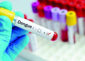 Cabo Verde decreta situação de alerta devido a aumento de casos de dengue
