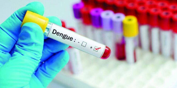 Cabo Verde decreta situação de alerta devido a aumento de casos de dengue