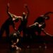 Vinte artistas representam Portugal na bienal de dança Tanzmesse na Alemanha