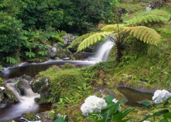 Açores alertam para falta de investimento num dos principais cartões de visita