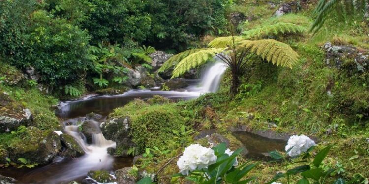 Açores alertam para falta de investimento num dos principais cartões de visita
