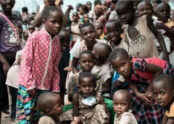 Líderes da África Austral alertam para fome devido a longo período de seca