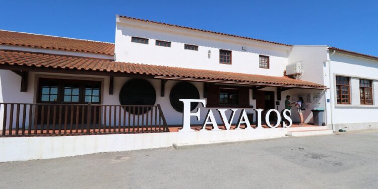 Favaios é a primeira cooperativa de Portugal com certificação nacional de sustentabilidade