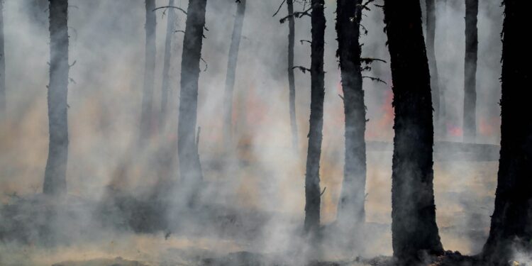 Comissão Europeia Apoia Portugal no Combate a Incêndio na Madeira