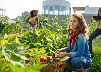Governo sobe "enormemente apoios" a jovens agricultores