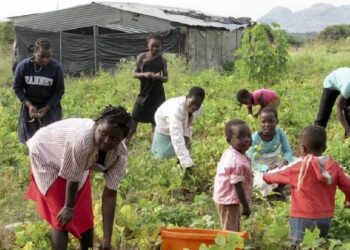 Mais de 1,5 milhões de pessoas em Moçambique em crise ou emergência alimentar