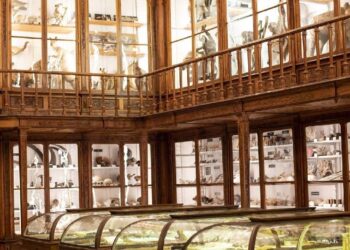 Novo regime de entrada gratuita em museus já entrou em vigor