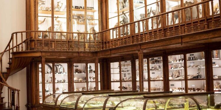 Novo regime de entrada gratuita em museus já entrou em vigor