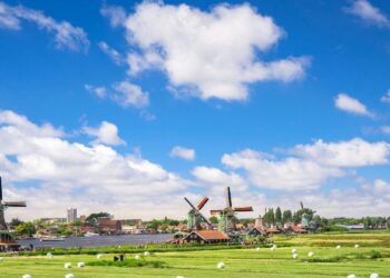 Há um novo país que está a atrair a emigração nacional