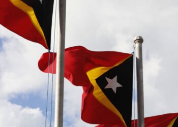 Timor-Leste doa 2,2 milhões de euros para recuperação do incêndio na Madeira