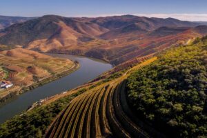 Quintas no Douro Vinhateiro onde pode participar nas vindimas (COM FOTOS)