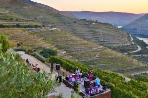 Quintas no Douro Vinhateiro onde pode participar nas vindimas (COM FOTOS)