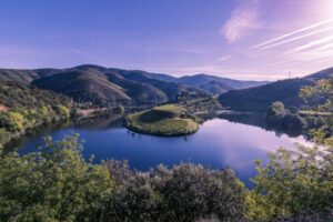 Quintas no Douro Vinhateiro onde pode participar nas vindimas (COM FOTOS)