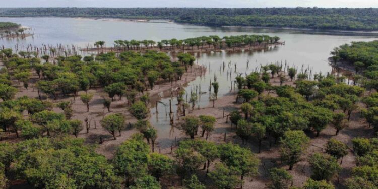 Brasil celebra Dia da Amazónia com pior seca em décadas e vários incêndios