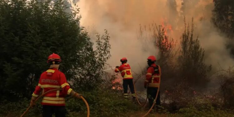 "Solidariedade". Vários países deixam a Portugal mensagens sobre fogos