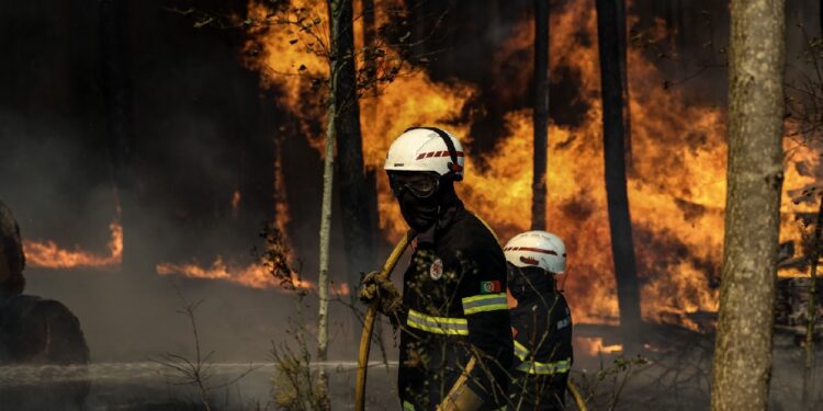 Fogos que avançam quase um quilómetro por hora provocam mortos, feridos e estragos (COM FOTOS)