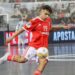 Jogador português de futsal entre os melhores do mundo