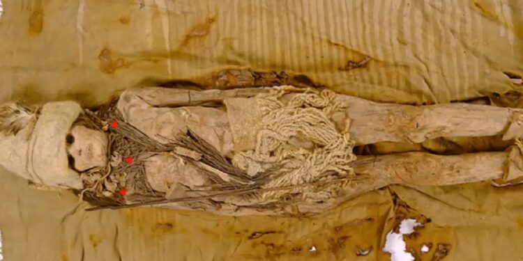 ADN do queijo mais velho do mundo extraído de múmias da Idade do Bronze