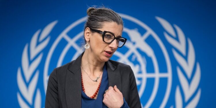 ONU apela a Portugal que remova bandeira de navio com armas para Israel 11 ONU apela a Portugal que remova bandeira de navio com armas para Israel