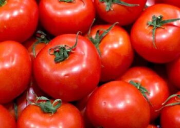 Tomates portugueses mais baratos em Espanha? Mercadona esclarece