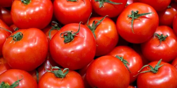 Tomates portugueses mais baratos em Espanha? Mercadona esclarece 11 Tomates portugueses mais baratos em Espanha? Mercadona esclarece