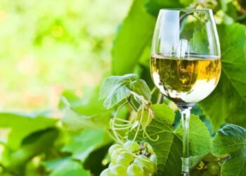 Vinhos Verdes estimam produção ao nível de 2023 de 90 milhões de litros